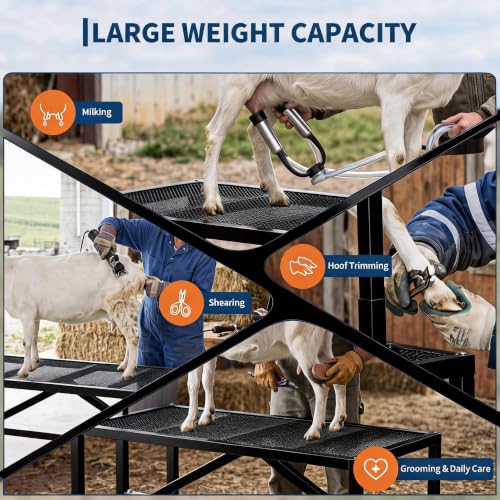 400LBS Goat Milking Stand with Feed Bin, 35" Adjustable Grooming Table - color: Black, size: 35 inch