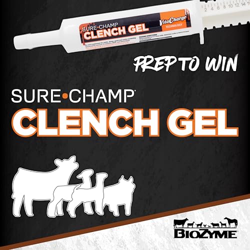 SURE CHAMP® Clench Gel, 30ml