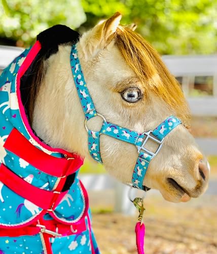 Star Point Horsemanship Rainbow Cheetah Halter - size: Medium Mini 28-32"