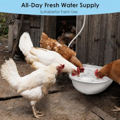 Automatic Chicken Waterer, Stainless Steel Poultry Water Dispenser