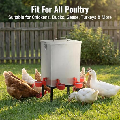 3 Gallon Chicken Waterer with Cups & Nipples, Stainless Steel