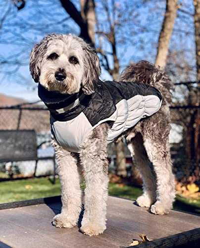 Lelepet Dog Coat Warm Dog Winter Coat Waterproof Dogs Jacket with Harness - color: Black, size: X-Small