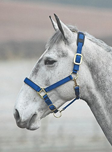 Shires Topaz Leather Breakaway Nylon Headcollar - color: Navy, size: X-Small Pony