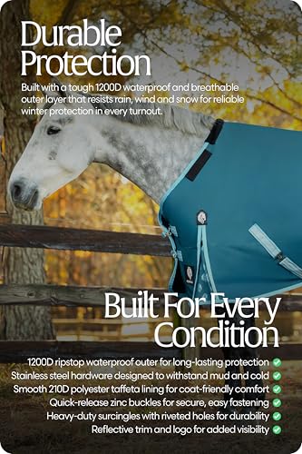 Equinavia Arktis Reg. Neck Lightweight Turnout Blanket 100g - Deep Green - 84 in - color: Deep Green, size: 84 in
