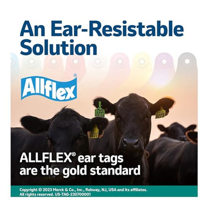Allflex USA Allflex Large White Blanks Ear Tags