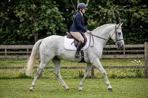 Horse English Quilted Contoured All-Purpose Trail Saddle Pad 7296 - color: White, size: 23" (Spine) x 20" (Drop)