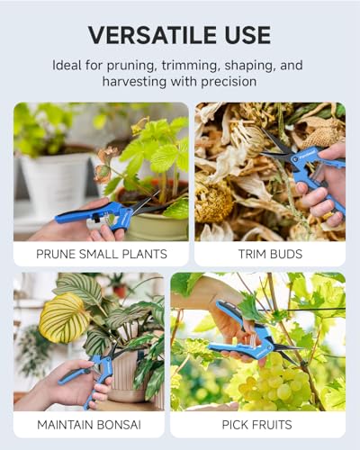 Fondwell 2-Pack 6.5" Precision Trimming Scissors Pruning Shears Garden Snip | Small Plant Scissors, Ultra-Sharp Non-Stick Straight & Curved Blades, Fatigue-Free - for Flower, Bonsai, Detailed Gardening - color: Black (Straight & Curved Blades, 2-pack)