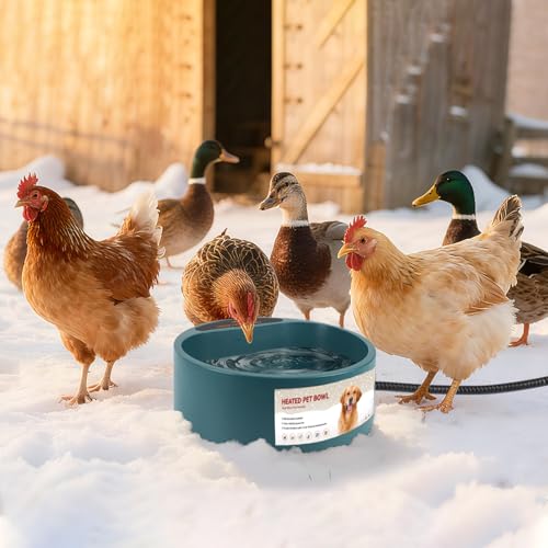 2.2L Heated Dog Bowl, Provides No Freeze Water, Pet Water Heater for Dogs/Cats/Chickens/Birds/Livestock, Green - color: Green