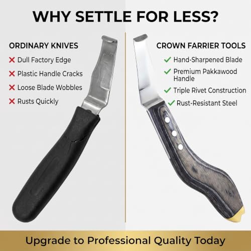 Premium Hoof Knife with Brass End, Stainless Steel