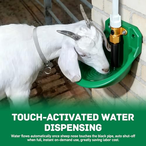 Automatic Goat Waterer Sheep Water Bowl Touch-Activated Waterer | Plastic Animal Livestock Water Dispenser for Goat Sheep Pig Piglet Calf Dog