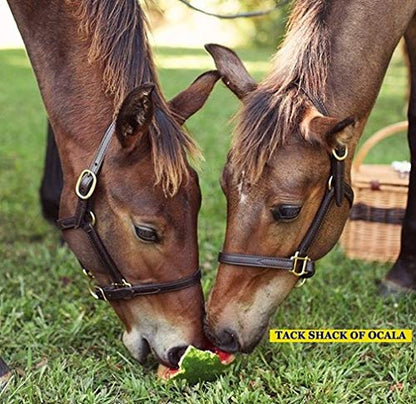 Tack Shack of Ocala Leather Mini or Suckling Foal Size Horse Halter | Brown Leather with Solid Brass Hardware | Adjustable Chin, Double Stitched, Double Buckle Crown.