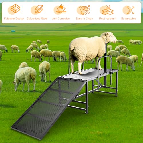 Goat Stand with Ramp for Sheep & Goats, Adjustable Height 20"-32", 47x23" Metal with Headpiece & Nose Loop for Hoof Trimming, Milking & Shearing
