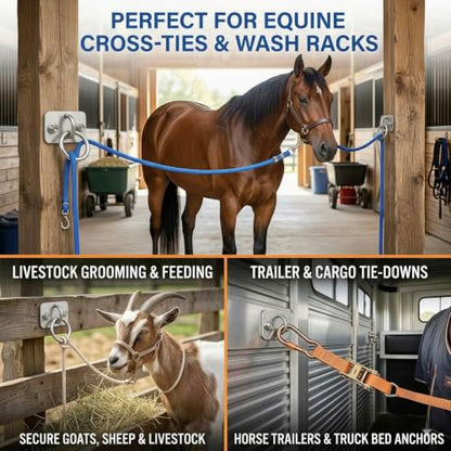 Heavy Duty 304 Stainless Steel Horse Tie Ring Anchors 2 Pack | Rustproof equine tie down hardware for trailers stalls & farms, jam-free rotation, includes 4 lag screws