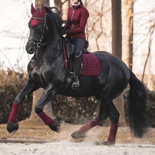 Horse Polo Leg Wraps Soft Fleece Wraps Equestrian Leg Bandage 4-Pack (Full(10ft), Wine Red) - color: Wine Red, size: Full(10ft)