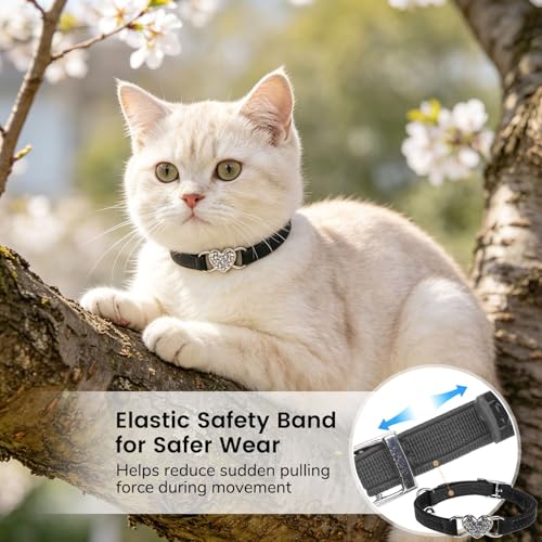 BINGPET Diamond Cat Collar with Bell, Adjustable Kitten Collar, Black - color: Black(Heart), size: Neck Girth 8"-10"