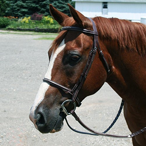 Everyday Raised Fancy Stitched Leather English Schooling Bridle with Laced Reins - Havana Mini