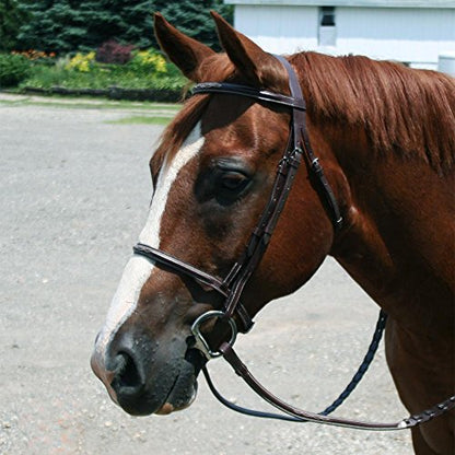 Everyday Raised Fancy Stitched Leather English Schooling Bridle with Laced Reins - Havana Mini
