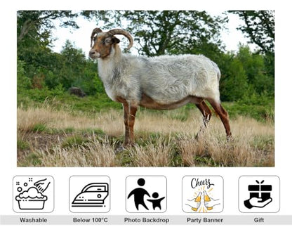7x5ft Fabric Horned Wool Sheep Backdrop Thick White Fur Dry Grass Green Leaf Woodland Photography Background Tapestry Party Farm Animal Decorations Photo Booth Props - size: 7x5ft