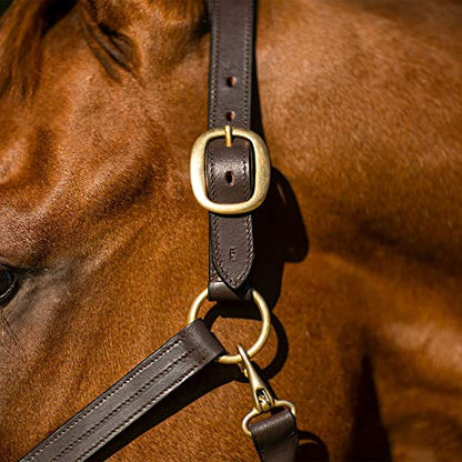 Schneiders Premier Dorchester Padded Leather Halter for Horses | Fancy Stitch Detailing | Soft Buffalo Leather | Padded for Comfort - size: Thoroughbred