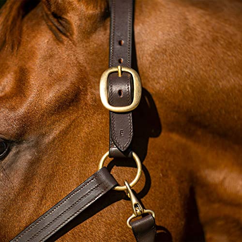 Schneiders Premier Dorchester Padded Leather Halter for Horses | Fancy Stitch Detailing | Soft Buffalo Leather | Padded for Comfort - size: Oversize