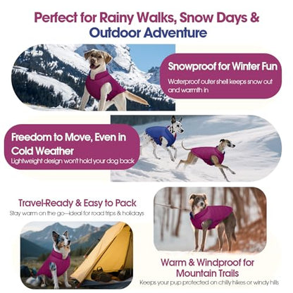 QBLEEV Reversible Dog Jacket, Windproof Dog Coat, Lightweight Puffer Vest - color: Violet-Blue, size: X-Small