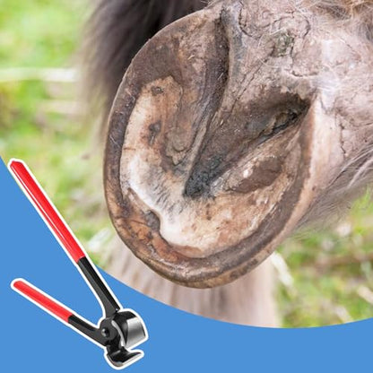 10 Inches Hoof Nipper, Farrier Tool Hoof Trimmers Goat Hoof Trimming