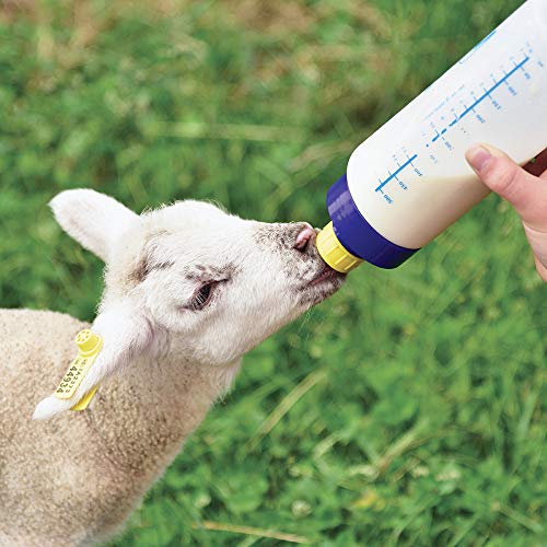 Premier 1 Supplies Shepherd's Lambing Essentials Kit