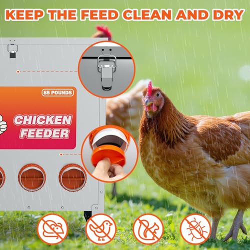 10 Port Automatic Chicken Feeder, No Waste Poultry Feeder with Lid - size: 10 Ports (85-120 LBS)