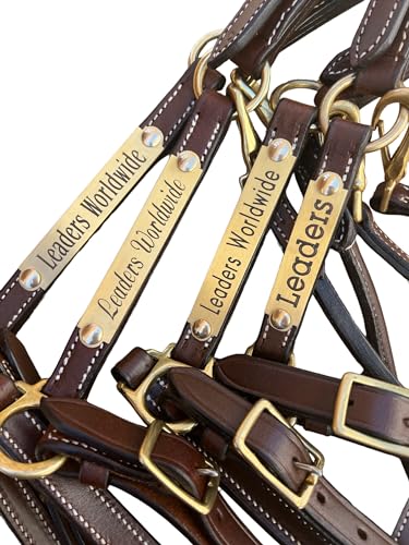 Leaders 3/4" Leather Halter for Horses with Customized Engraved Name Plate Brown Leather with Solid Brass Hardware - size: Pony