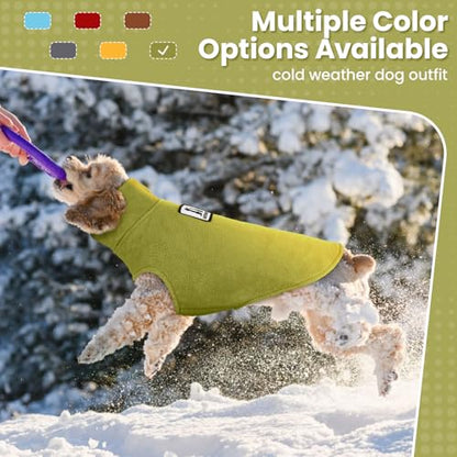 DENTRUN Reversible Dog Winter Coat, Windproof Polar Fleece Reflective Vest - color: Green, size: Medium