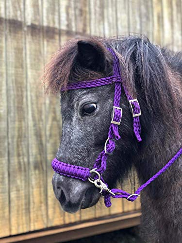 Purple pony bitless bridle pony tack side pull hackamore