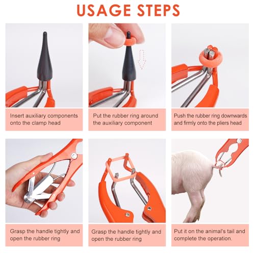Goat Banding Kit Livestock Castration Bander Castration Tool
