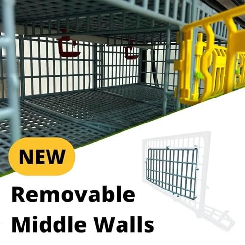 Hatching Time Jumbo Quail Cage Layer Addition – Jumbo Flooring Expansion Add-On for Quail Housing │ Removable Dividers, Extended Waste Trays, Egg Roll-Out Design, Easy-Clean ABS Plastic - style: Jumbo