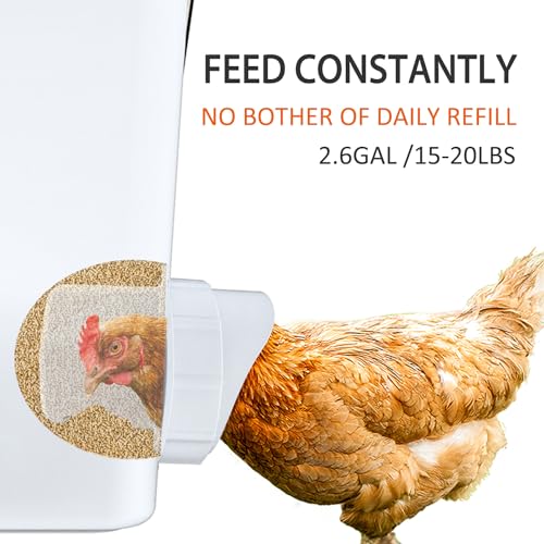 Large Automatic Chicken Feeder and Waterer Set Hanging Chicken Water Feeder Poultry Feed Bucket - color: Frosted