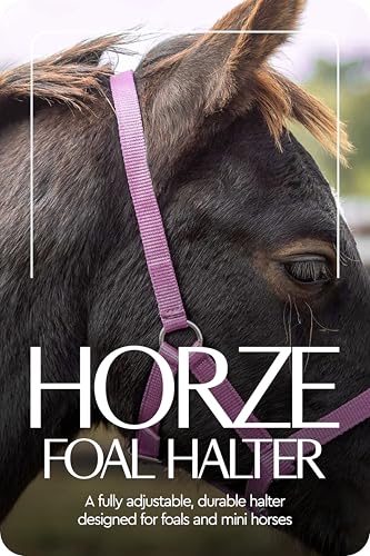 HORZE Adjustable Mini Horse Halter, Nylon Design for Foals, Colts, Fillies - color: Purple