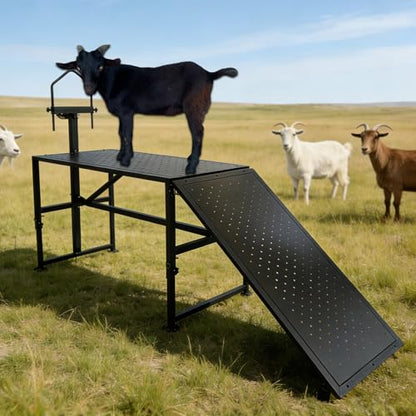 600 Lbs Adjustable Goat Milking & Trimming Stand with Feed Bin Ramp, Heavy Duty Steel Construction Ideal for Sheep & Goat Grooming, Hoof Trimming, and Milking, Livestock Care Equipment (Black)