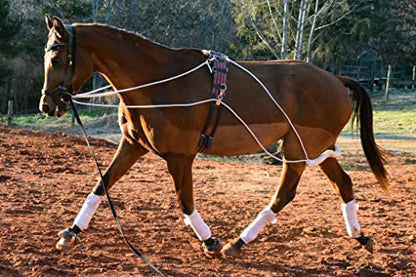 Leaders Training or Lungeing Aid for Horse - color: Black