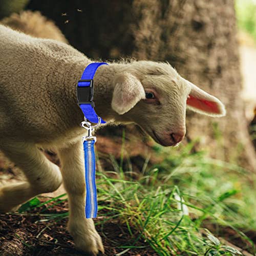 Goat Lead and Goat Collars Set Small Farm Animal Goat Sheep (Multicolor) - color: Multicolor