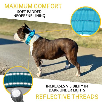ADITYNA Heavy Duty Dog Collar for Medium Dogs with Traffic Handle - color: Blue, size: Medium: Fit 15-19" Neck