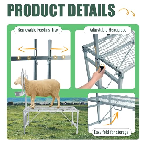 600LBS Milking Stand for Goat, Adjustable Sheep Rack with Feeder, Metal Livestock Milk Stand Fit for Shearing, Hoof Trimming, Animal Examinel Examination, Stainless Steel (Silvery) - color: Silvery