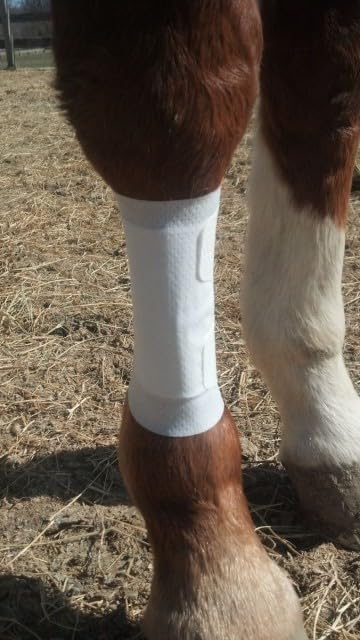 Equine BandaFlex Non-Adhesive, Disposable, Washable and Reusable Bandages (Large) - size: Large