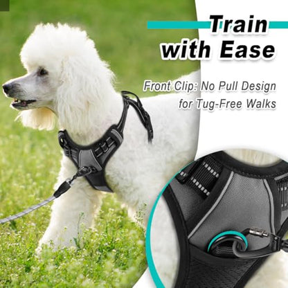 BARKBAY Dog Harness for Small Sized Dog No Pull 2 Leash Clips Dog Vest - color: Dark Grey, size: X-Small