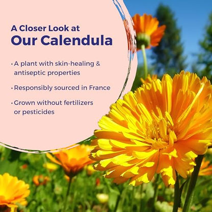 Boiron Calendula Cream for Skin Irritation Relief | For First Aid, Minor Burns, Cuts, Scrapes, Insect Bits and Sunburn. Size: 2.5 oz. - size: 2.5 Ounce