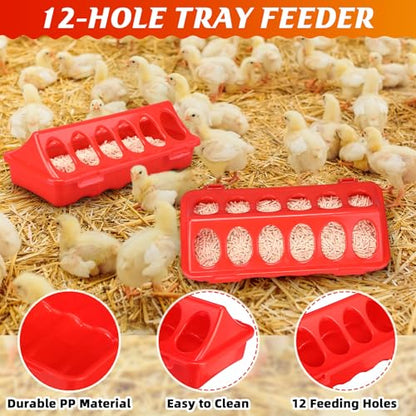 4 Pack 6l Heated Chicken Feeder and Waterer Kit Poultry Waterer Fountain with Leg Support for Chicks Coop Feeding Farm Supplies Birds Duck