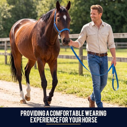 2 Pack Nylon Horse Halter with Reins Adjustable - color: Blue