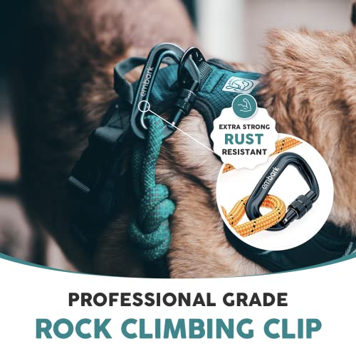 Embark Dog Leash - Heavy Duty Tough Nylon Training Lead for All Dog Breeds | Mountain Climbing Rope with Heavy Duty Locking Carabiner - Strong & Durable Nylon Pet Leash - 6 FT - Orange - color: Orange