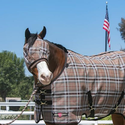 Kensington Protective Products Horse Fly MASK with Web Trim, Deluxe Black, Medium | Protects face and eyes from insects and UV rays with full visibility, dual ear openings and forelock freedom - size: M (Small Horse)