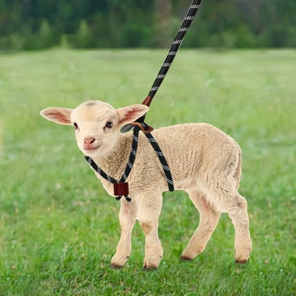Goat Harness & Leash, Adjustable Step-in Sheep Harness, Goat Accessories, Livestock Halter Supplies for Goats and Sheep (Large) - size: Large