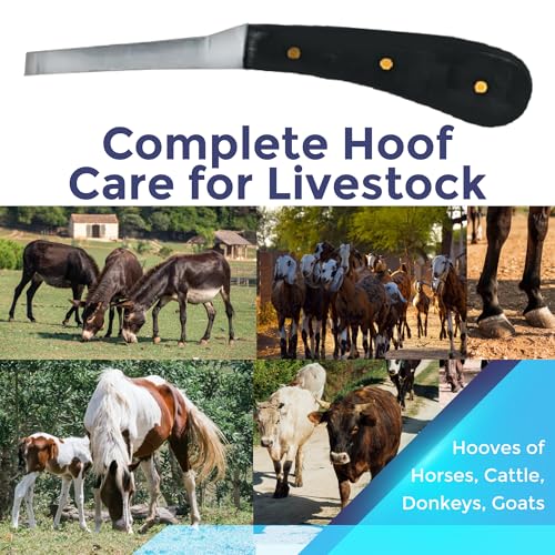 Regular Hoof Knife for Horses – Farrier Tool with Plastic Grip – Hoof Trimming Knife for Equine Care & Veterinary Use (Left Hand) - style: Semi Narrow Blade - RH
