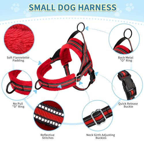 SlowTon No Pull Small Dog Harness and Leash Set with Front Clip | Soft Padded, Neck & Chest Adjustable, Lightweight, Anti-Twist, Puppy Vest Harness Pet Lead Combo for Small Medium Dog, R S - color: Red, size: X-Small